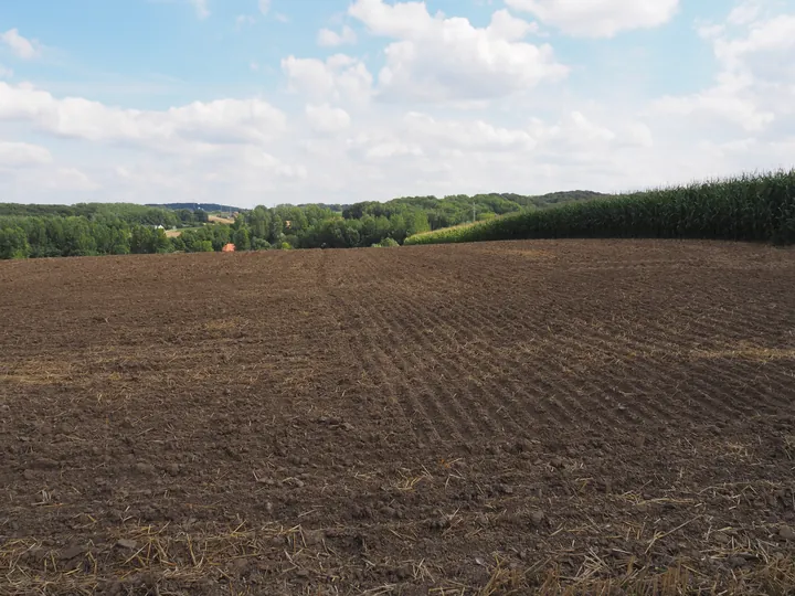 Kwaremont (Belgium)